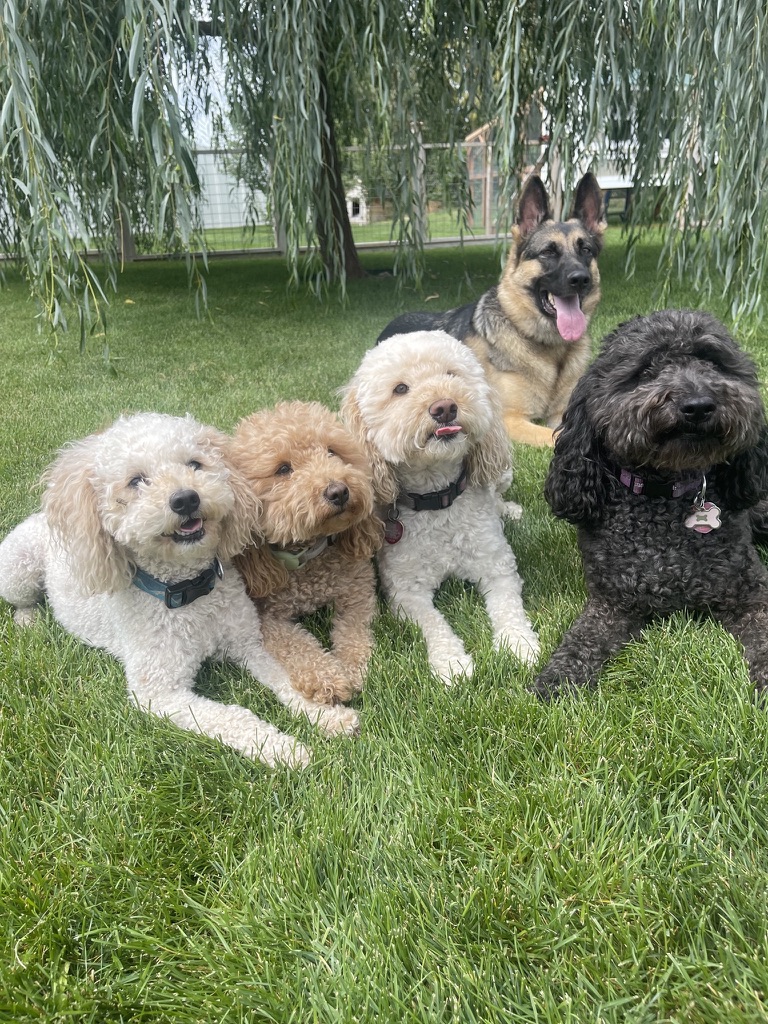 Family photo